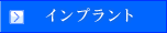 �C���v�����g